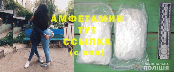 индика Баксан