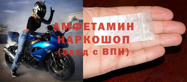 индика Баксан